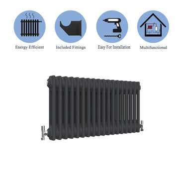 Traditional Horizontal 300x830mm 2 Columns Black Cast Iron Radiator