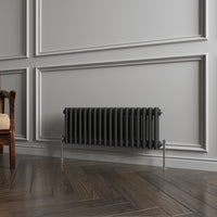 Aidal- Traditional Horizontal 300x830mm 2 Columns Black Cast Iron Radiator