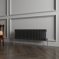 Aidal- Traditional Horizontal 300x1010mm 2 Columns Black Cast Iron Radiator