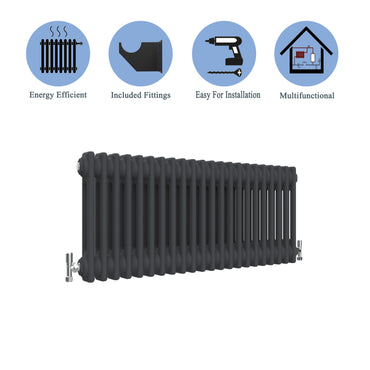 Traditional Horizontal 300x1010mm 2 Columns Black Cast Iron Radiator