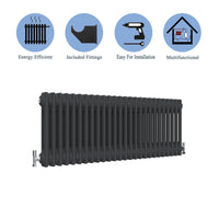 Traditional Horizontal 300x1190mm 2 Columns Black Cast Iron Radiator