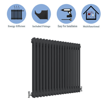 Traditional Horizontal 600x830mm 2 Columns Black Cast Iron Radiator