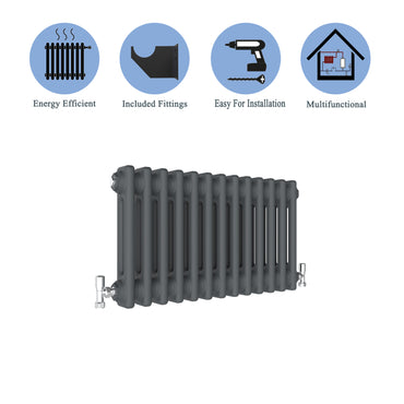 Aidal- Traditional Horizontal 300x605mm 2 Columns Anthracite Cast Iron Radiator