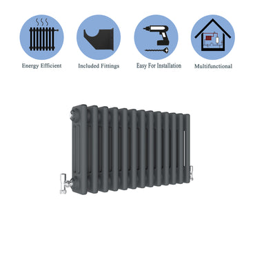 Aidal- Traditional Horizontal 300x605mm 3 Columns Anthracite Cast Iron Radiator