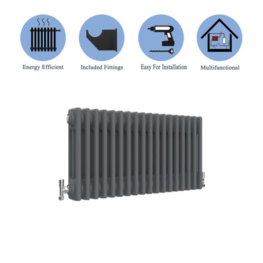 Aidal- Traditional Horizontal 300x830mm 3 Columns Anthracite Cast Iron Radiator