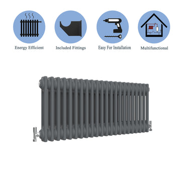 Aidal- Traditional Horizontal 300x1010mm 2 Columns Anthracite Cast Iron Radiator