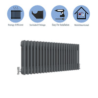 Aidal- Traditional Horizontal 300x1010mm 3 Columns Anthracite Cast Iron Radiator